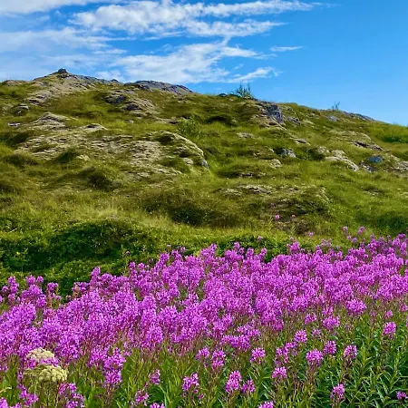 Sunset Panorama 샬레